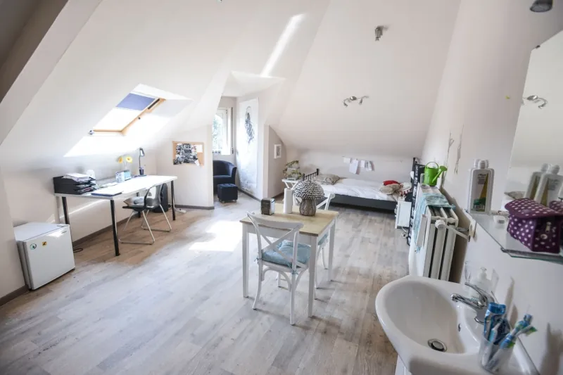 Kamer 21, zolderkamer van 35 m2 met dakraam en bureau
