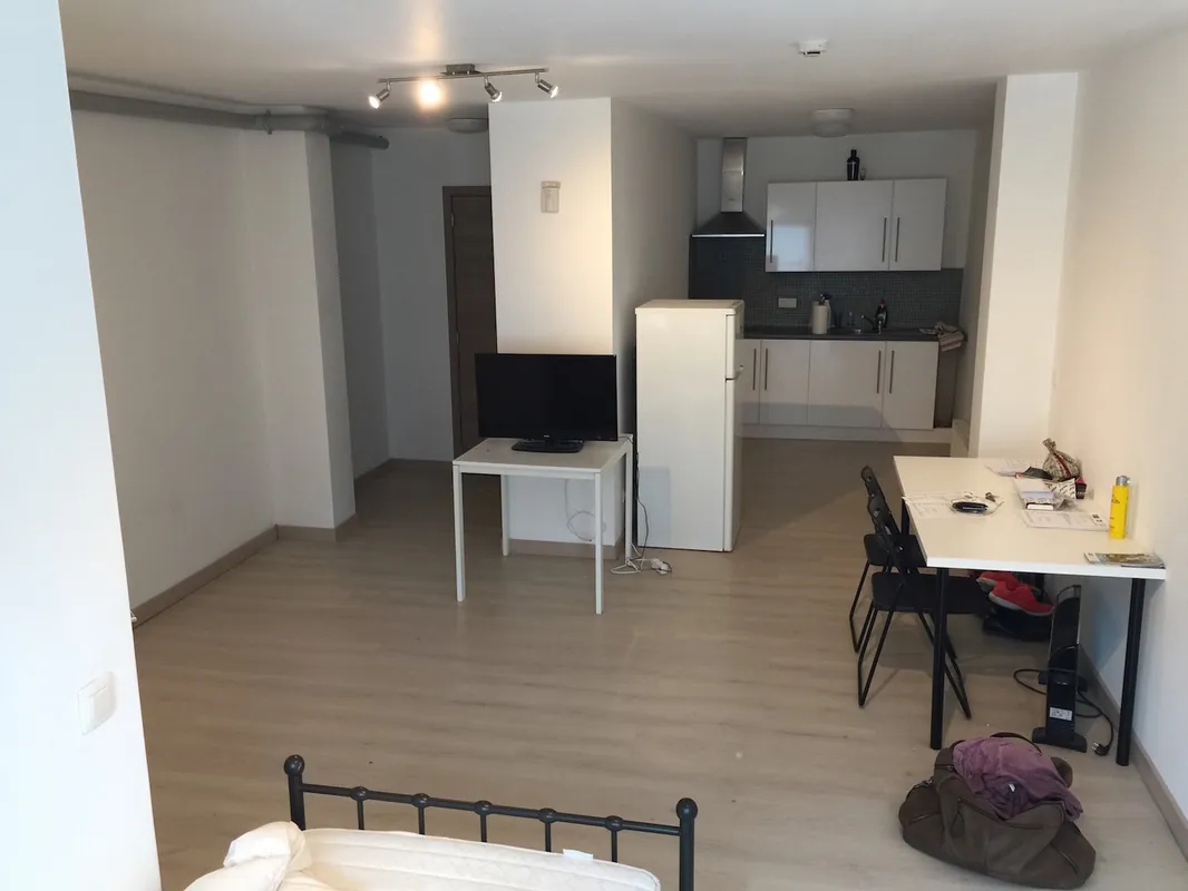 Studio 1, open leefruimte met keukenhoek, eettafel en slaapgedeelte